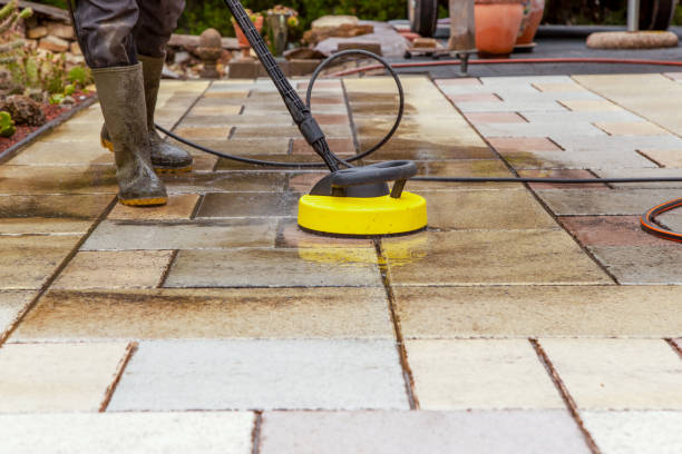 Best Playground Equipment Cleaning  in Roman Forest, TX