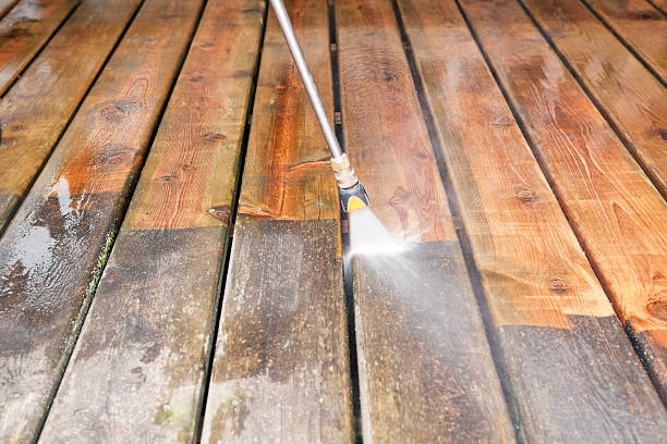Best Pre-Holiday Cleaning  in Roman Forest, TX